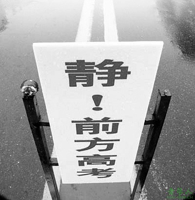 最新或2024（历届）高考