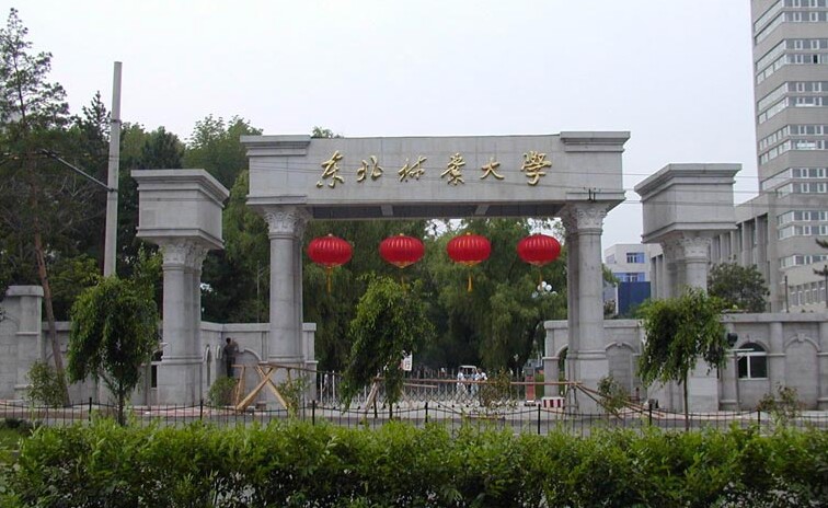 东北林业大学排名最新或2024（历届）排行第94名