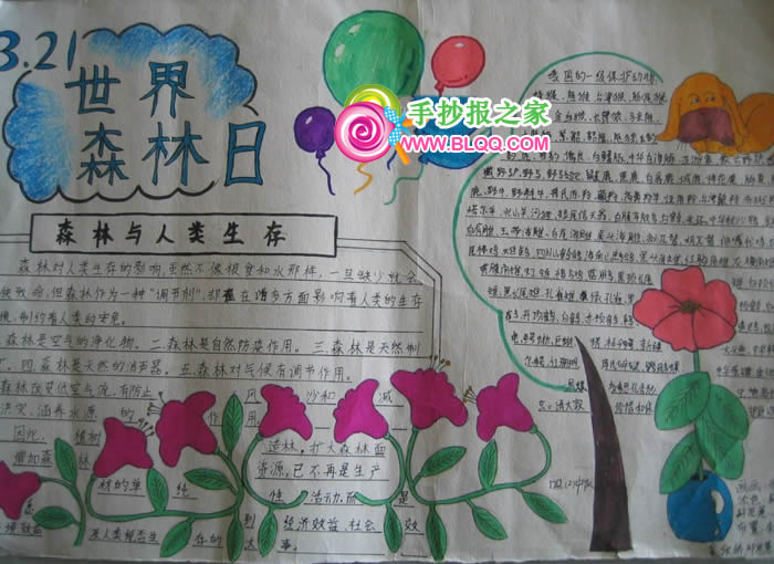 森林对人类生存的影响手抄报
