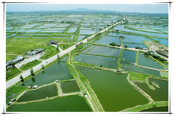 最新或2024（历届）水产养殖教育专业大学排名