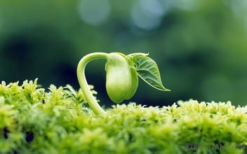 有关生命的名言名句     太阳教育网