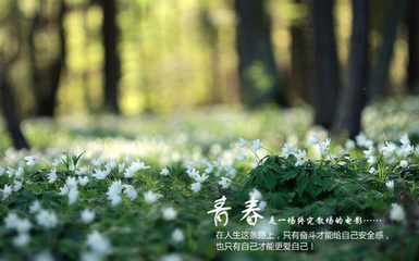 关于青春励志的说说以及图片