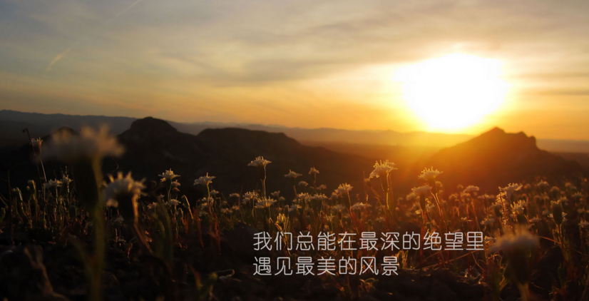 励志人生微语录_励志人生短语大全