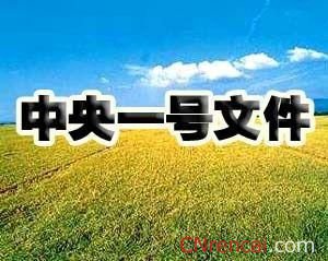 最新或2024（历届）中央一号文件的内容