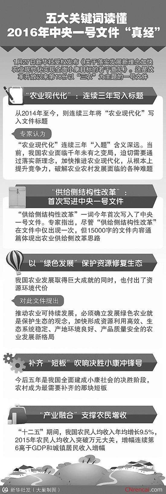 最新或2024（历届）中央一号文件十大要点