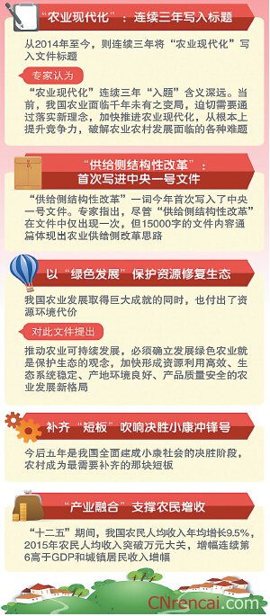 解读最新或2024（历届）中央一号文件