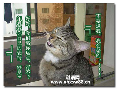 最新或2024（历届）网络经典骂人语句