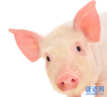 最新或2024（历届）骂女人的话 越毒越好