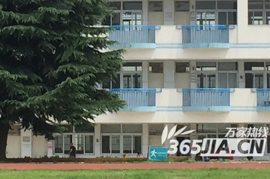 最新或2024（历届）合肥小学入学报名
