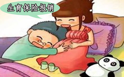 广州生养保险新方案最新或2024（历届）解读