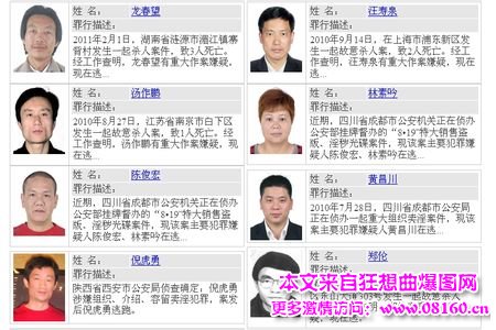 公安部追逃通缉犯最新或2024（历届），最新或2024（历届）网上追逃名单