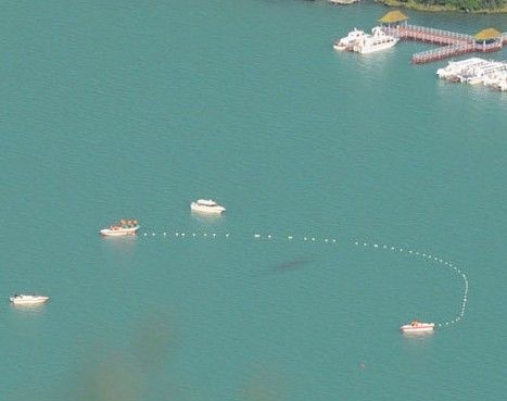 新疆喀纳斯湖发现“龙”