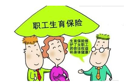 最新或2024（历届）关于再婚夫妻生育二胎新政策解读