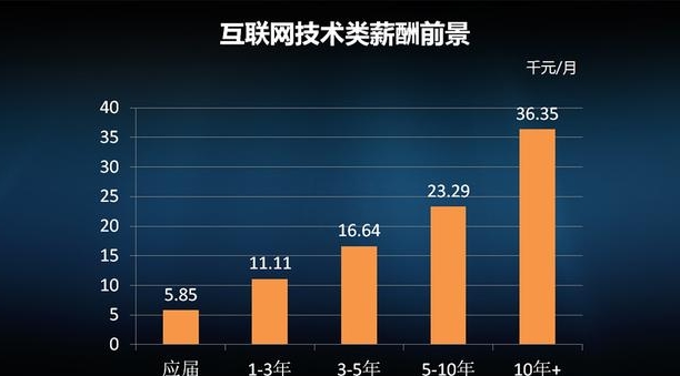 最新或2024（历届）互联网行业薪资行情