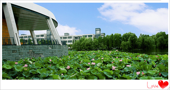 最新或2024（历届）-最新或2024（历届）浙江大学排行榜